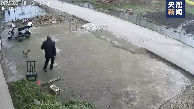 102岁老人坠楼被救与常规坠楼事件的对比分析：社会互助与应急响应
